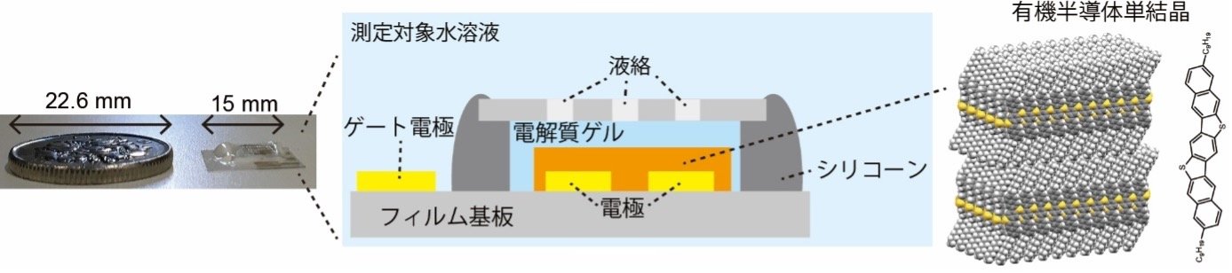 高精度な薄膜型イオンセンサーを有機半導体により実現 ～疑似参照電極として機能する有機半導体～