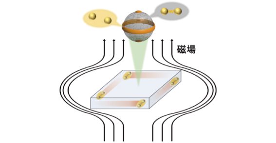 鉄系超伝導体における「第4の超伝導状態」の特異な超伝導特性とその不安定性を解明