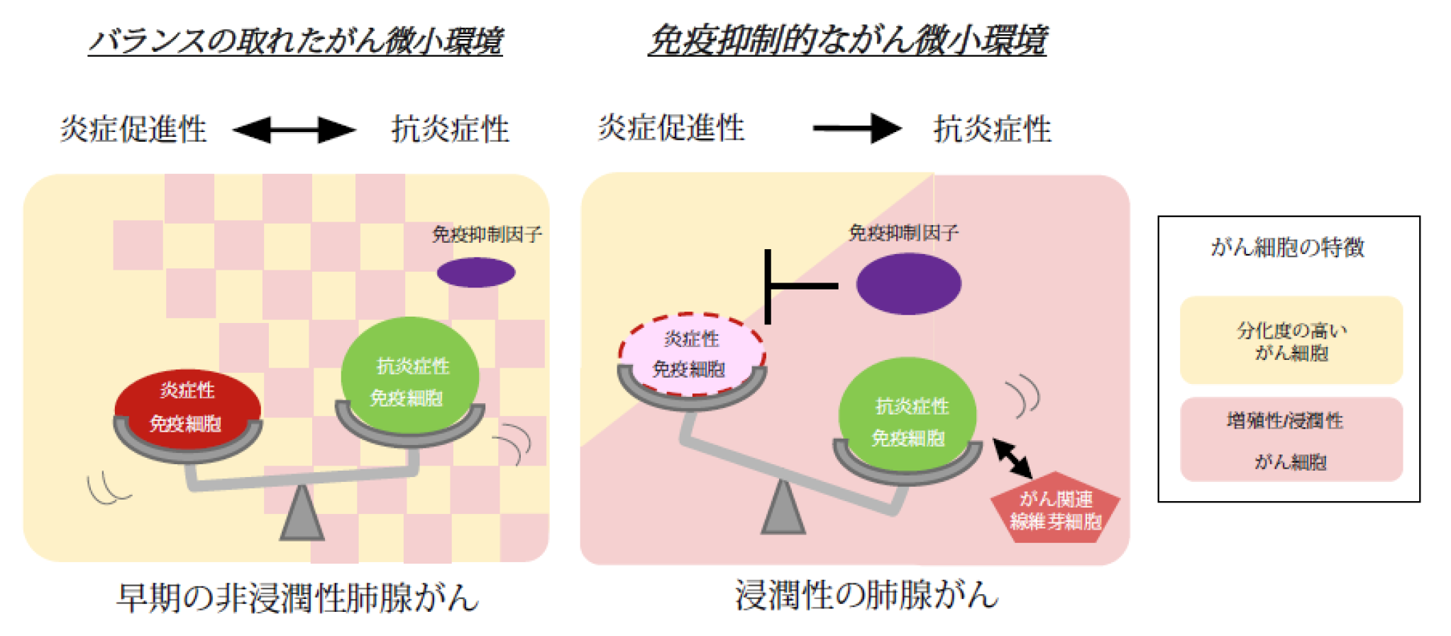 肺腺がんの進展に伴い変化するがん微小環境とは?～空間オミクス解析技術によるがん組織局所の分子イベントの解明～