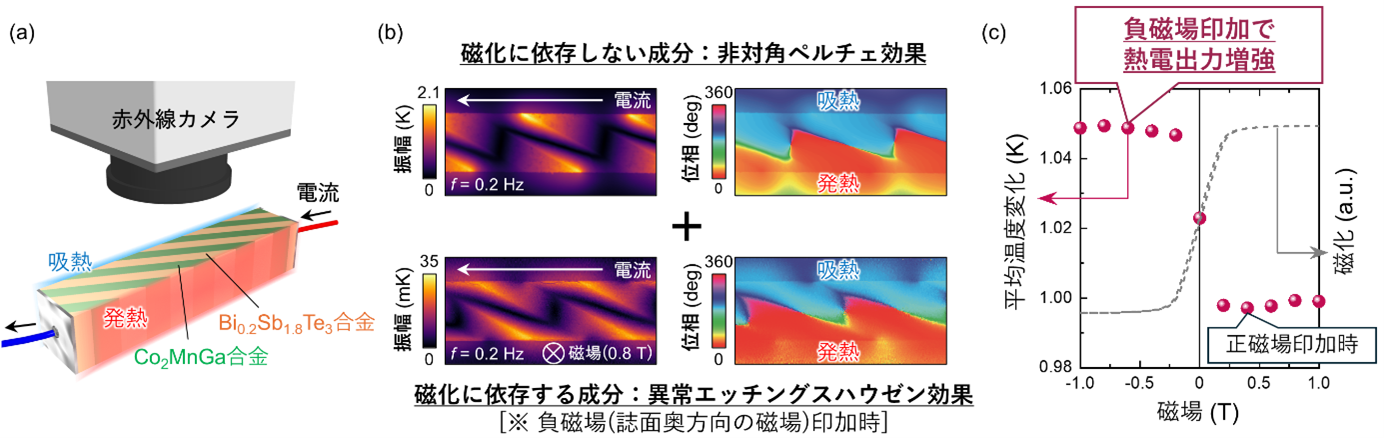 図2熱電複合材料における横型熱電効果のイメージング.png