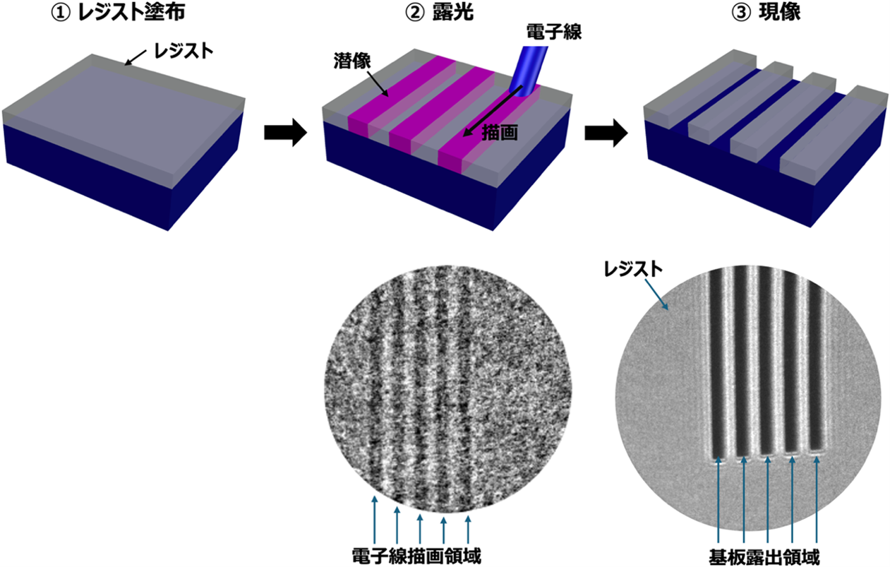 図2Laser-PEEMによって観察された潜像とレジストパターン.png