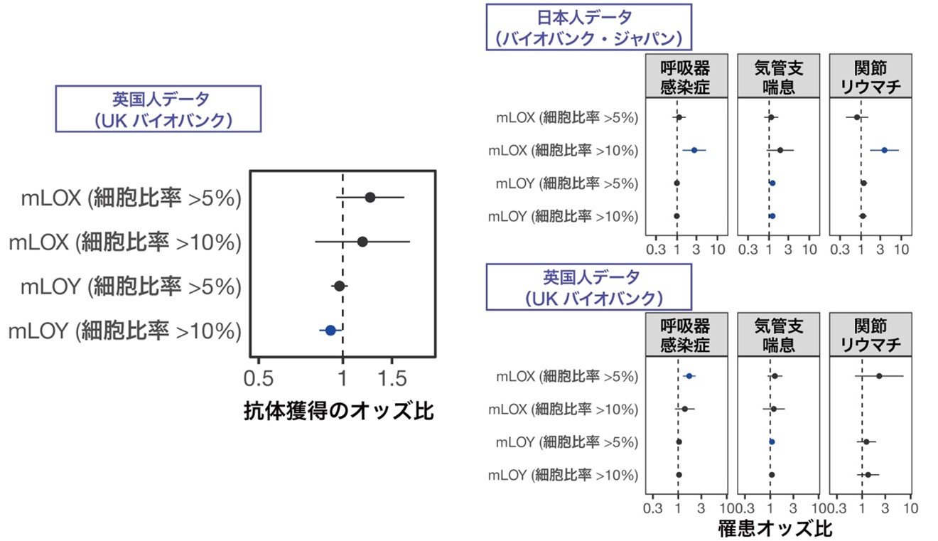 図4XY染色体喪失と免疫獲得能および感染症・免疫疾患との関連.jpg