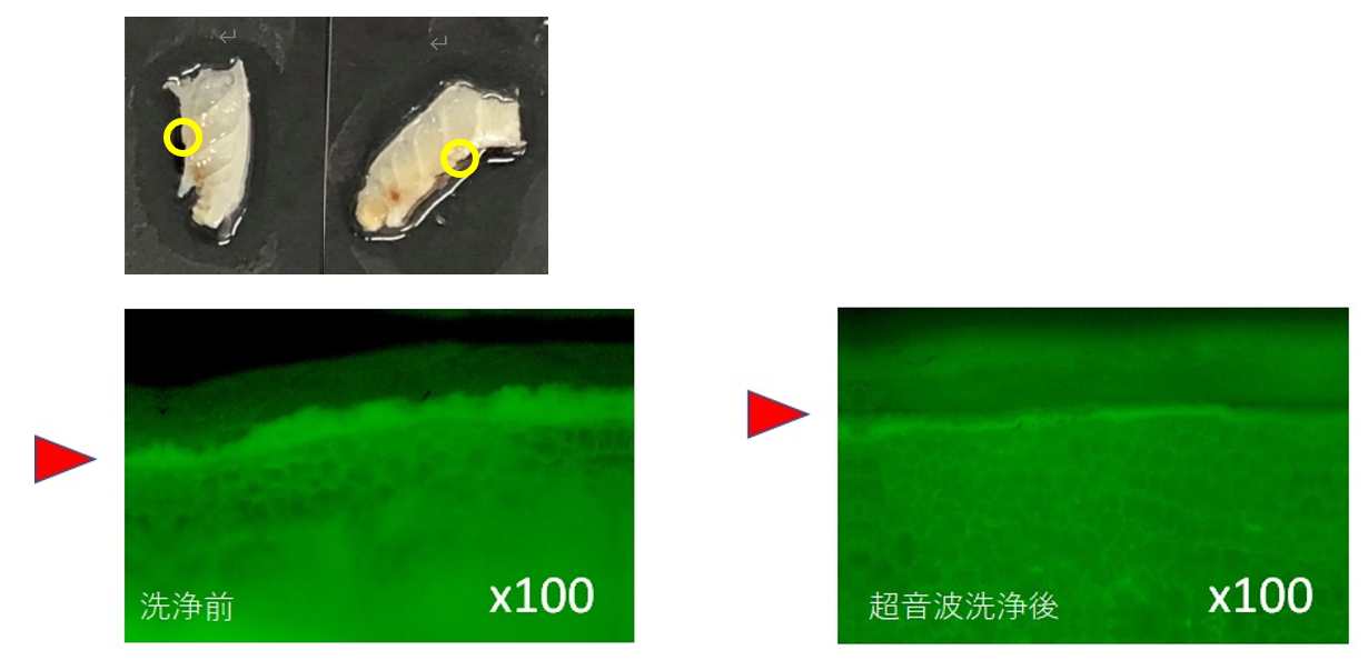 図4塩サバの超音波洗浄.png