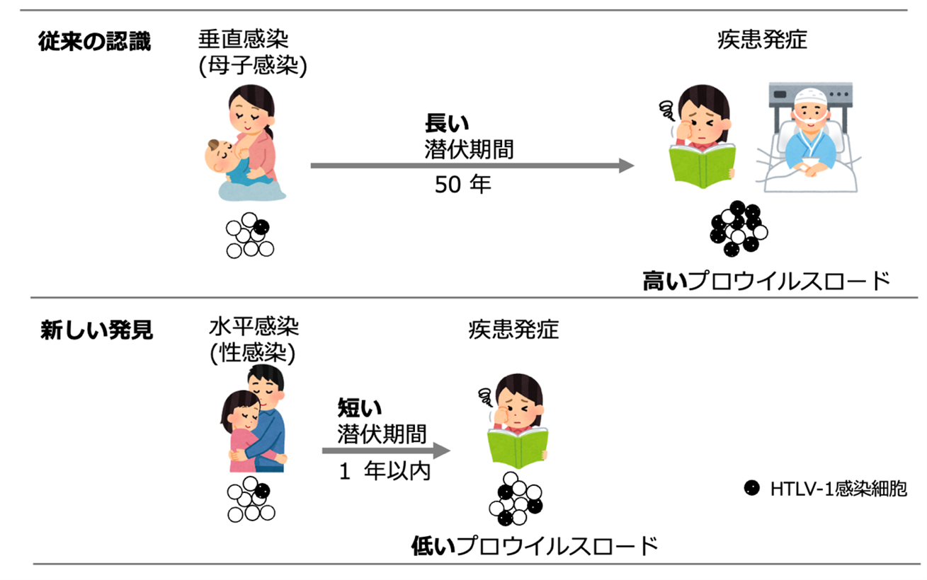 若年層のHTLV-1水平感染による新リスクを発見～短期発症と再発の危険性を確認～