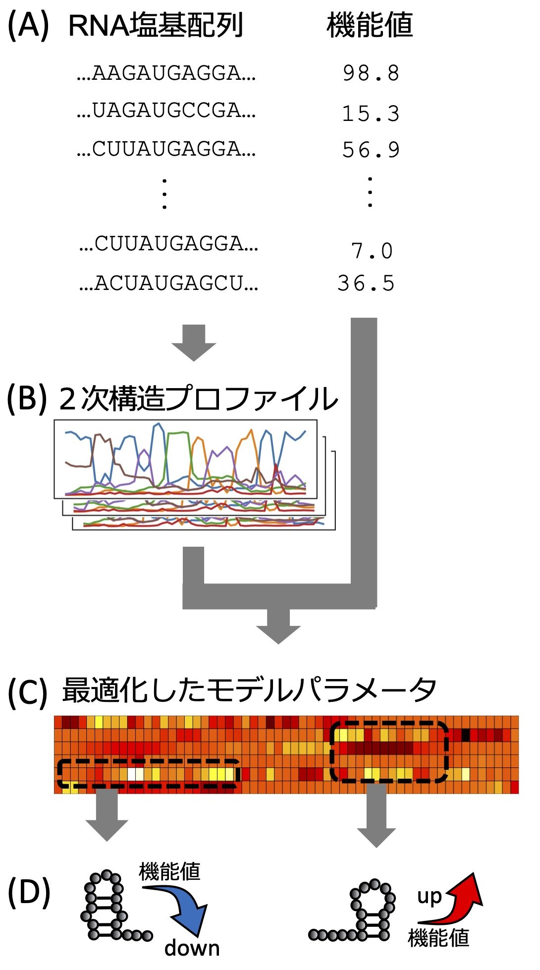 /information/upload/figure1_r1.jpg